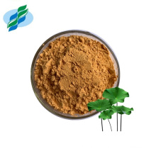 10 % Plant Extract Lose Weight Powder Nuciferine